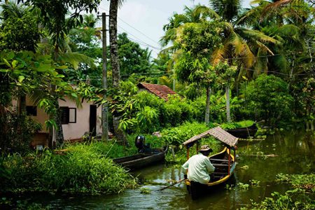 A Soulful Escape: Backwaters and Beyond in Kerala