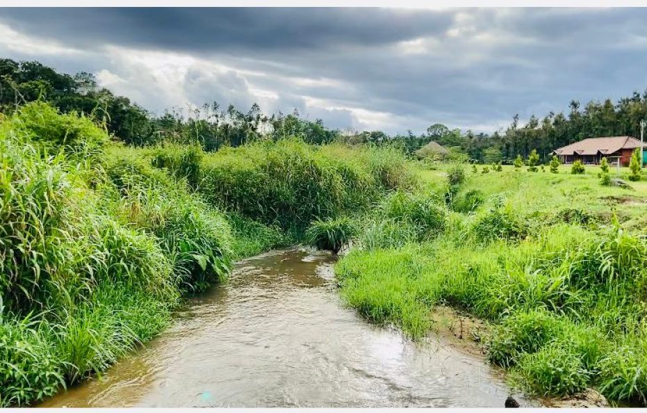 Gokul valley estate and stay