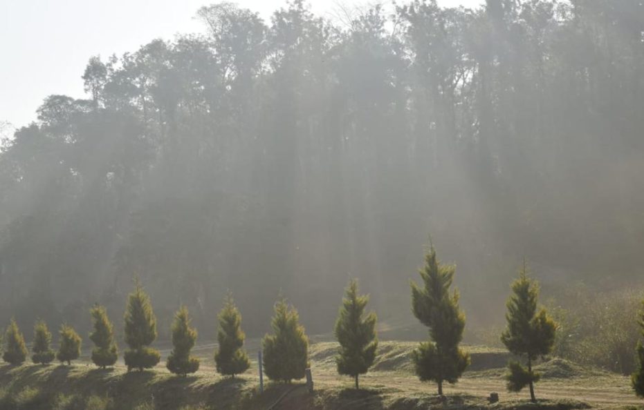 Gokul valley estate and stay