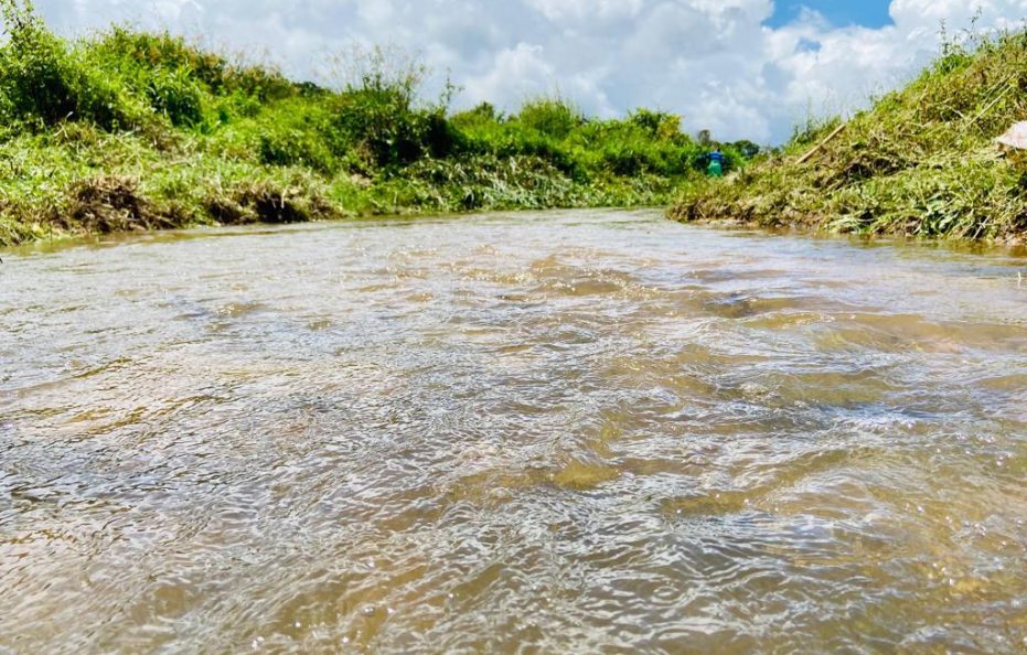 Gokul valley estate and stay