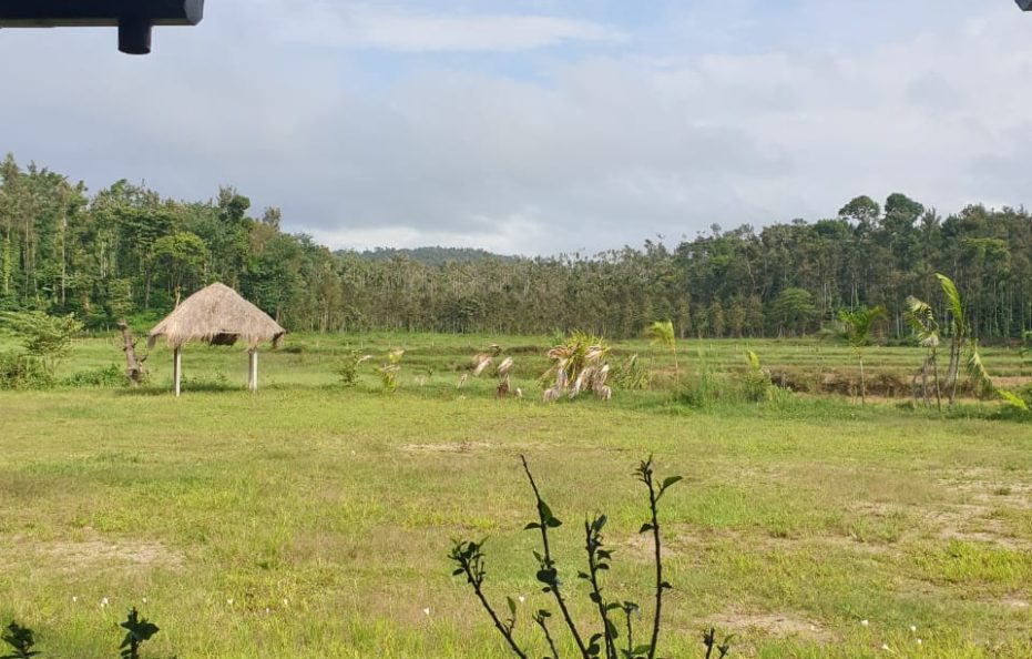 Gokul valley estate and stay